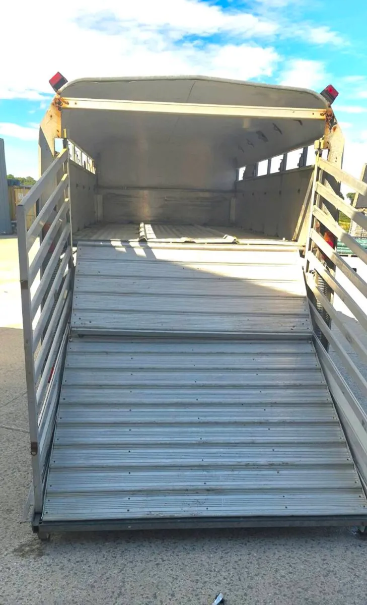 Ifor williams cattle trailer - Image 4