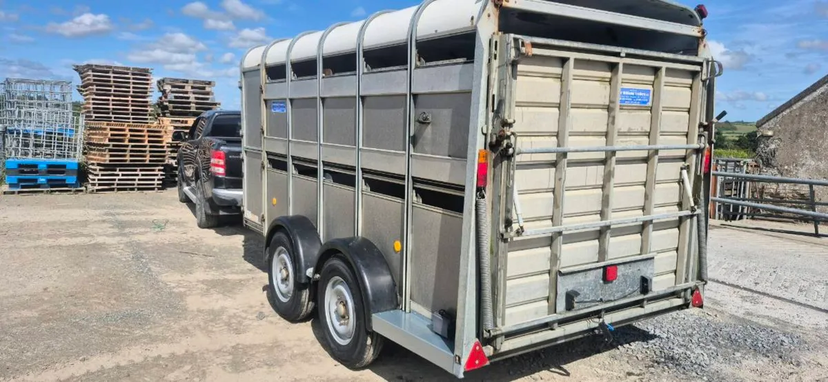 Ifor williams cattle trailer - Image 1