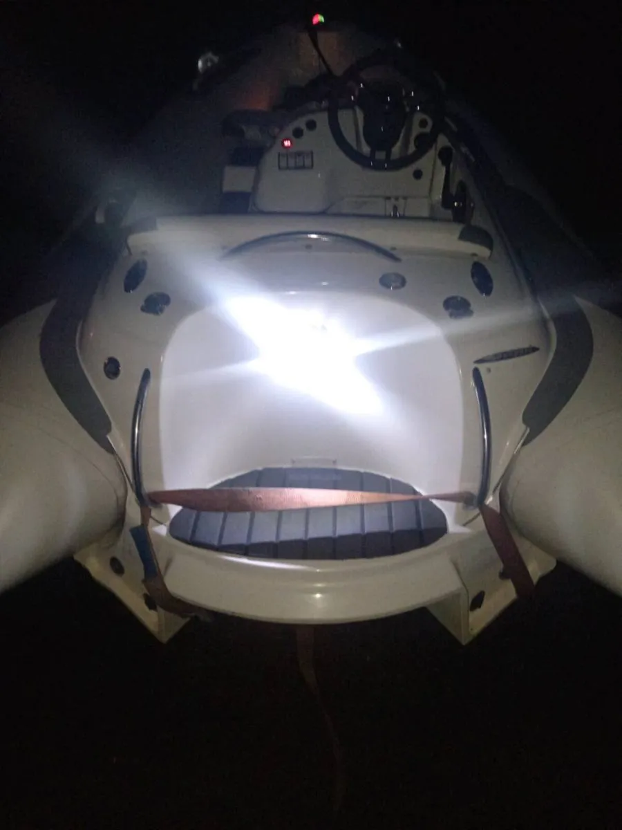 Williams Turbo Jet Rib - Image 3