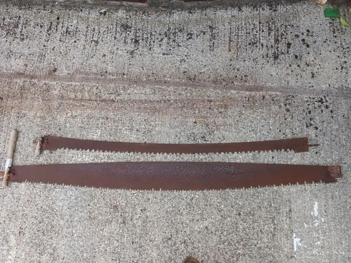 Two Vintage Crosscut Saws - Image 1