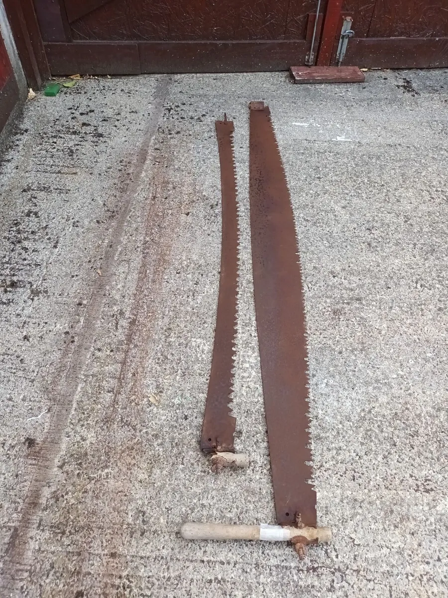 Two Vintage Crosscut Saws - Image 2