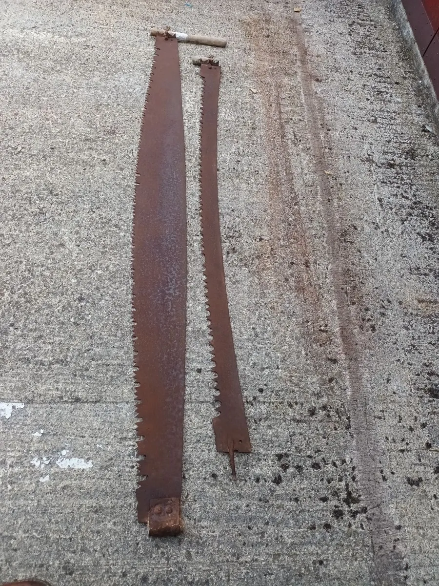 Two Vintage Crosscut Saws - Image 3