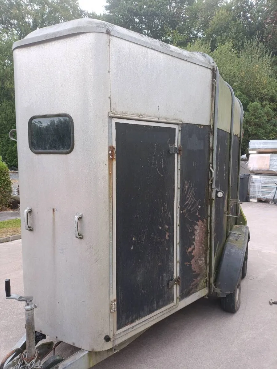 Ifor Williams 505 horse trailer - Image 2