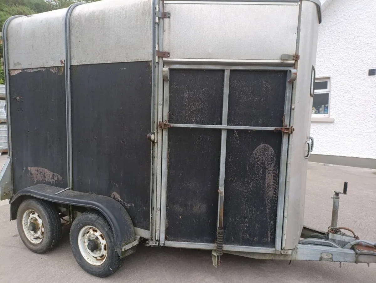 Ifor Williams 505 horse trailer - Image 1