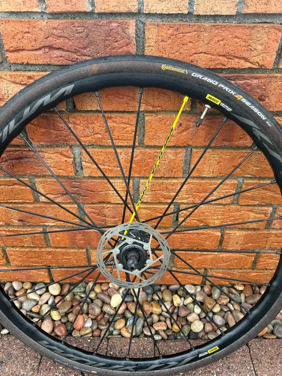 Mavic Ksyrium Pro UST Disc Wheelset - QR/Thru Axel - Image 4