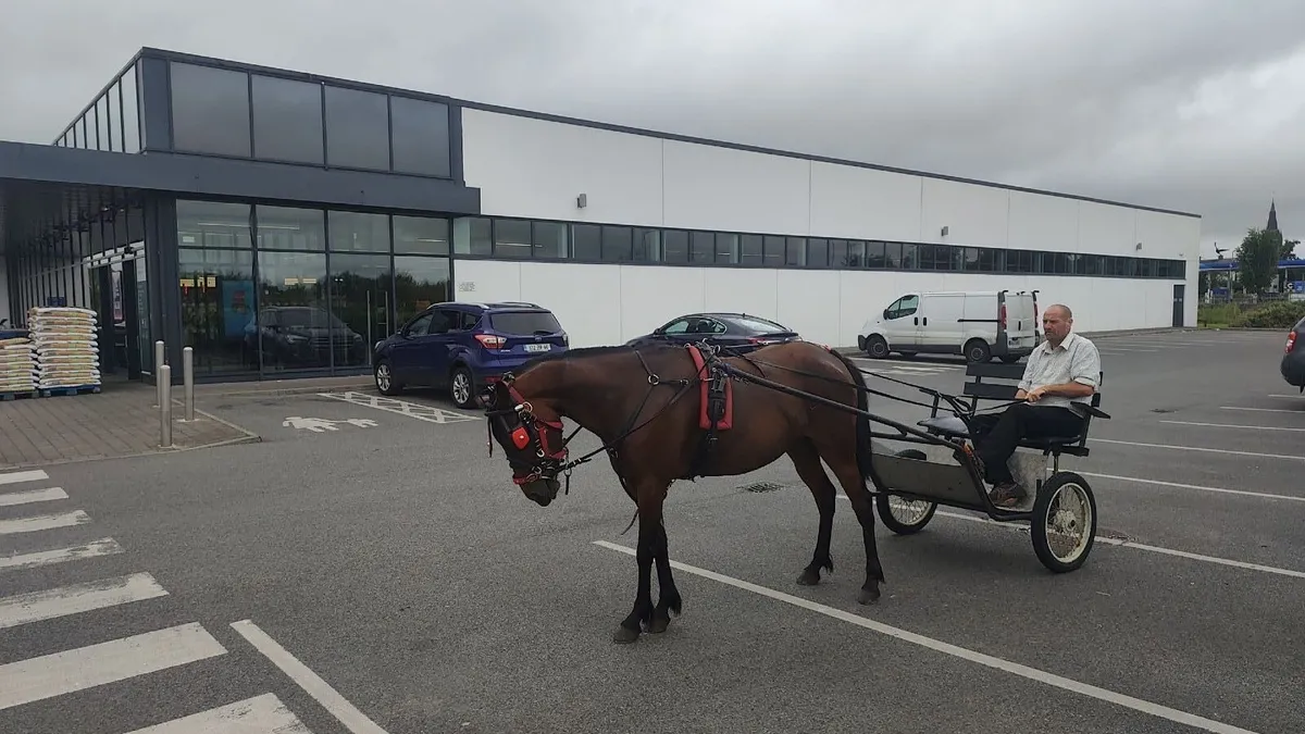 Ride And Drive Pony - Image 3