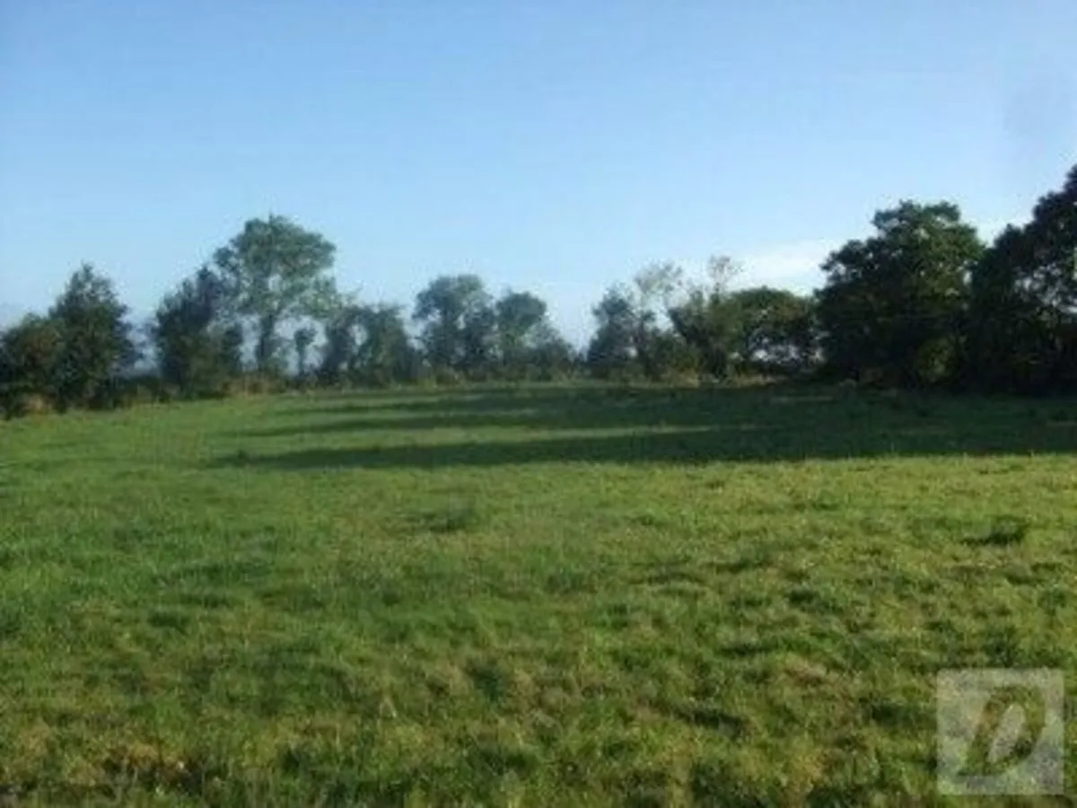 SITE - Image 2