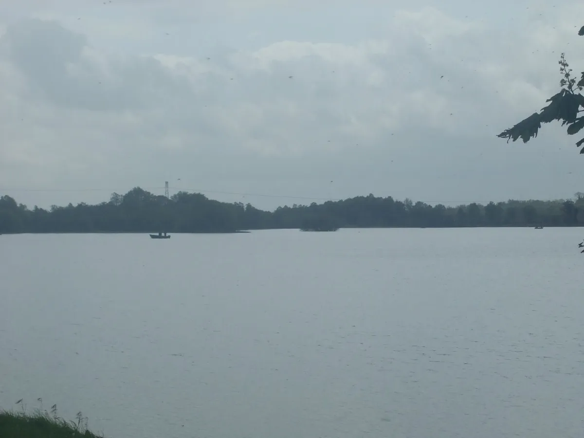 SITE - Image 3