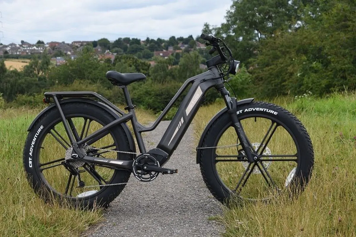 Electric bike 110km range - Image 1