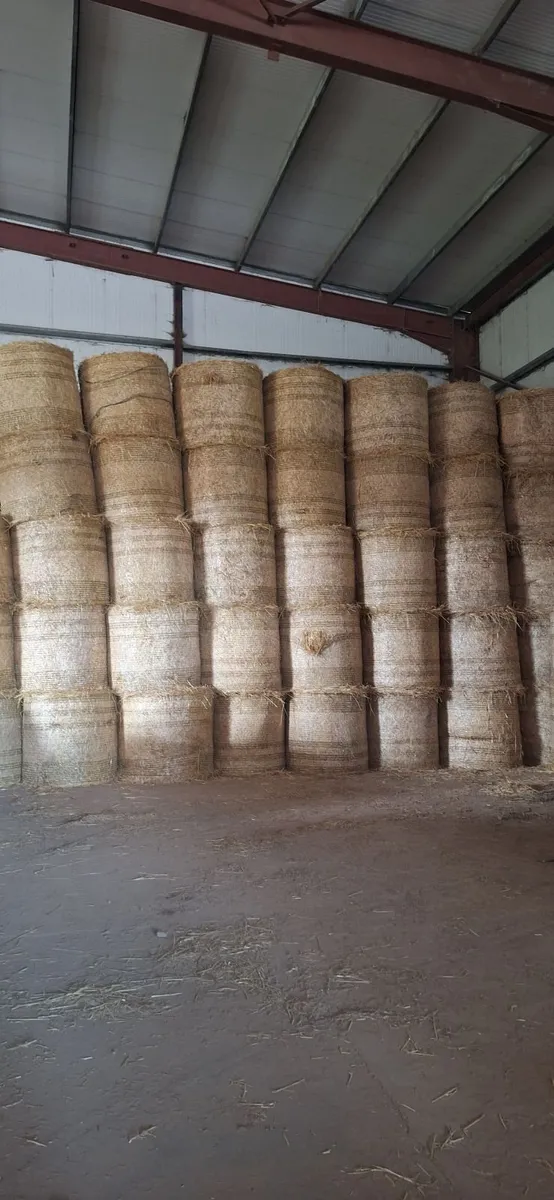 Straw for sale - Image 2