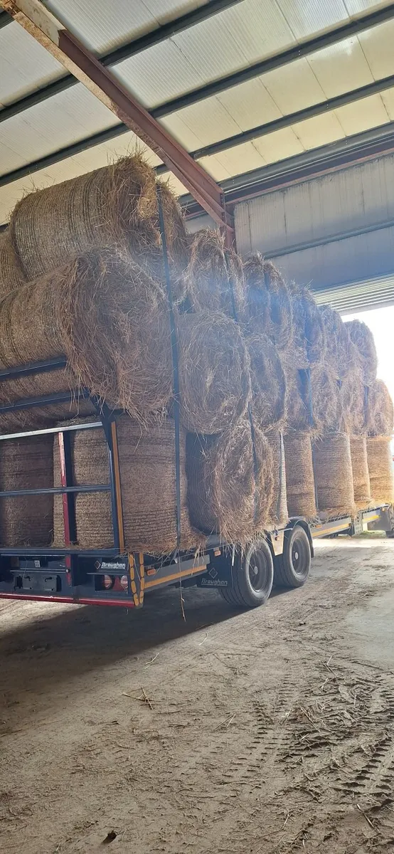 Straw for sale - Image 3