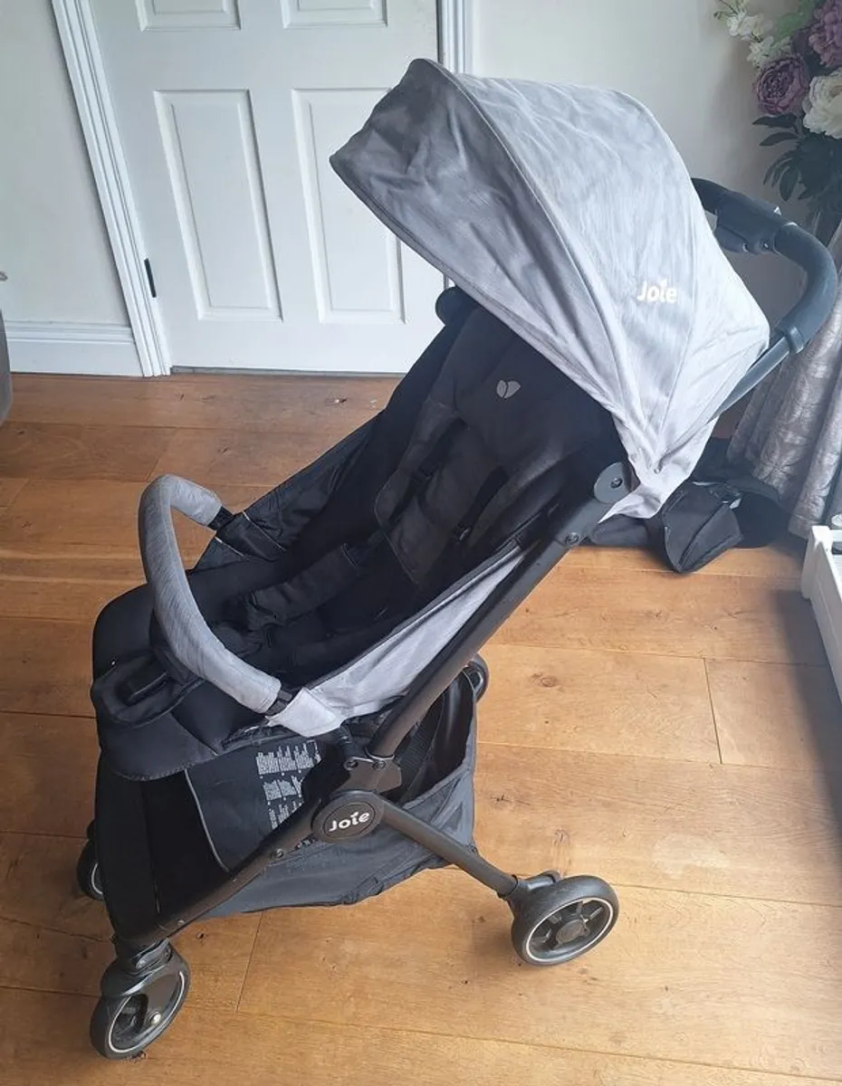 Toddler Travel Buggy - Image 1