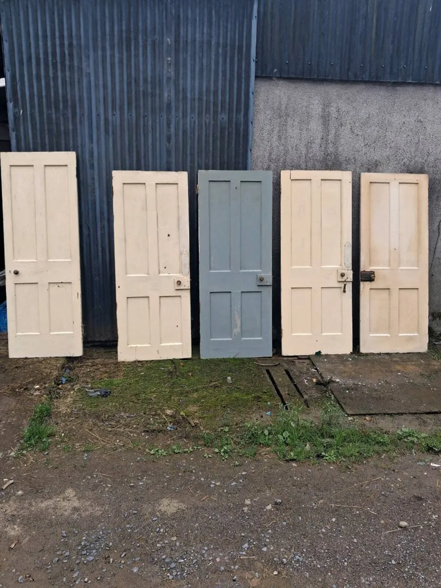 Selection of Antique Doors - Image 1