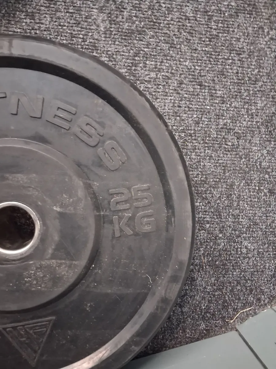 25 kg weights plates gym - Image 1