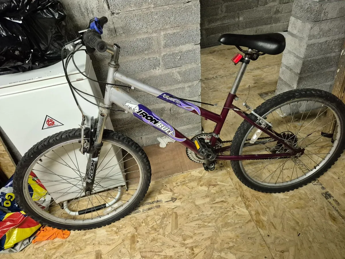 2 Girls bikes and  1 unisex bike for sale - Image 2