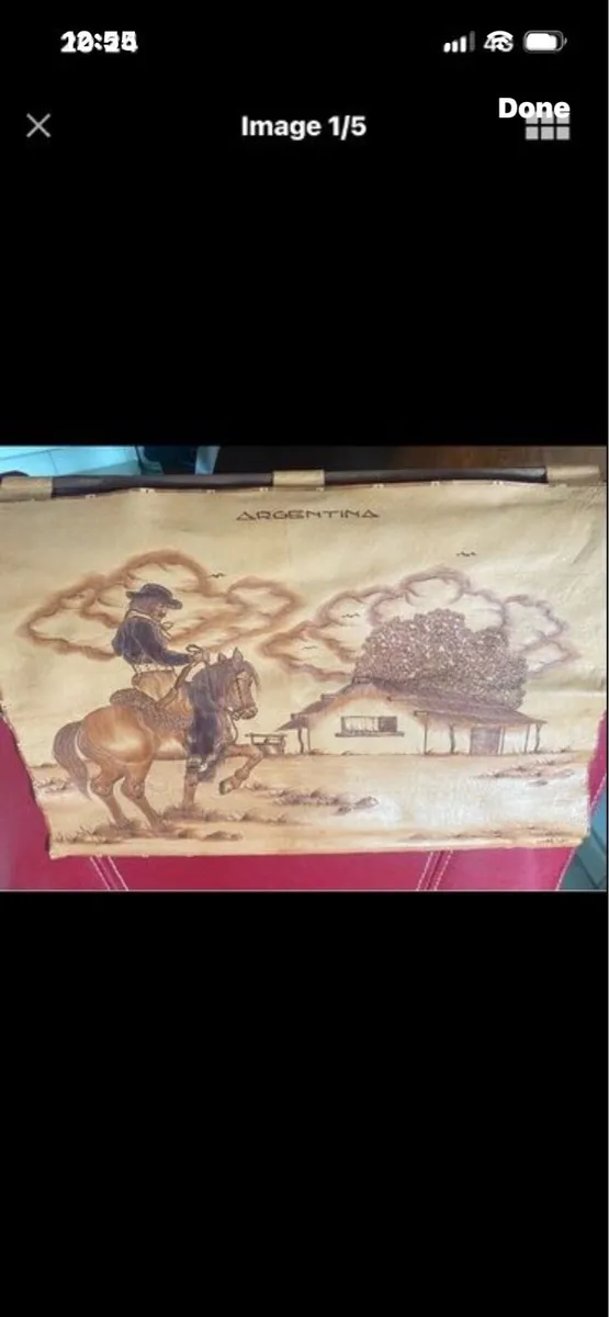 Argentina Leather Wall Art - Image 1