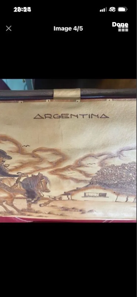 Argentina Leather Wall Art - Image 4