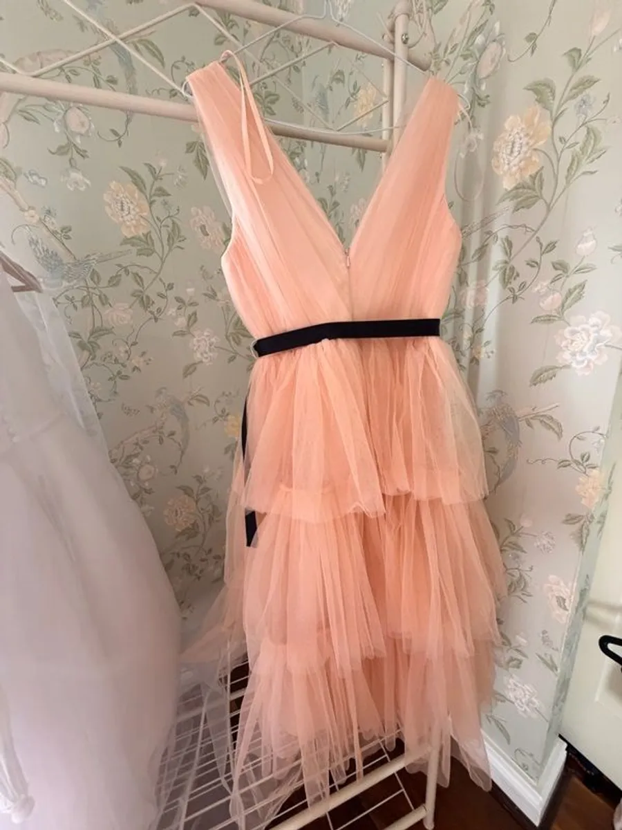 Peach tulle coast dress - Image 1