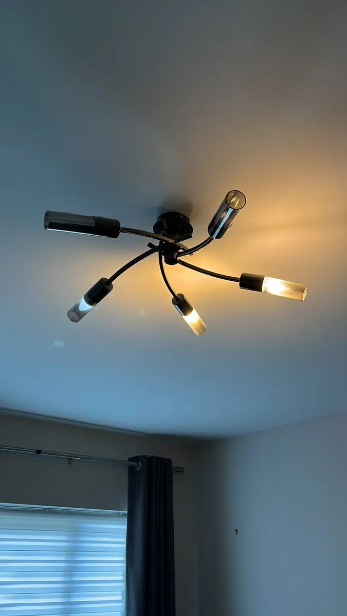 Ceiling lights (free) - Image 1