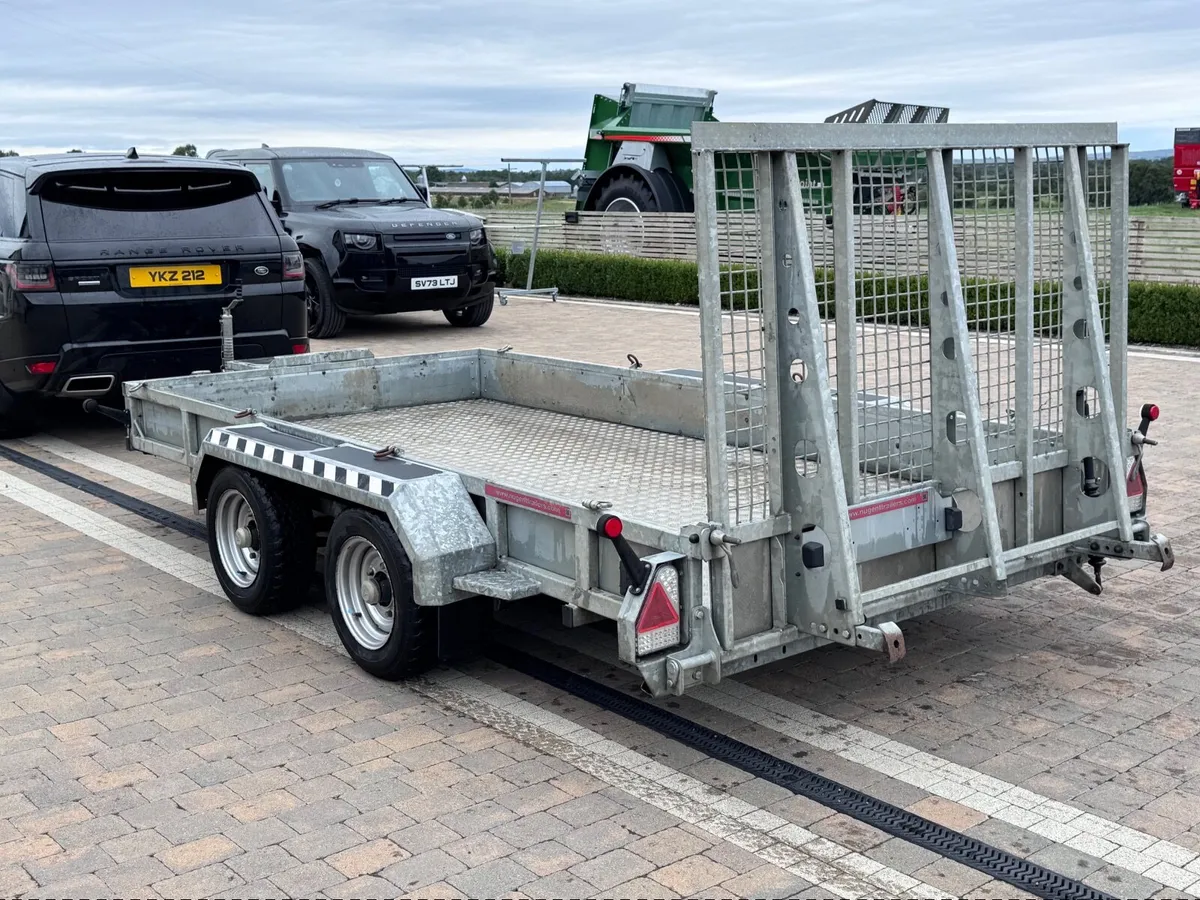 Nugent 12x6 plant trailer - Image 3