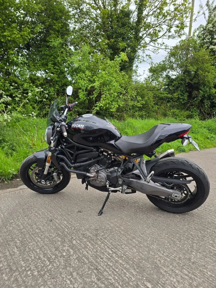 2019 Ducati Monster M821 - Image 2