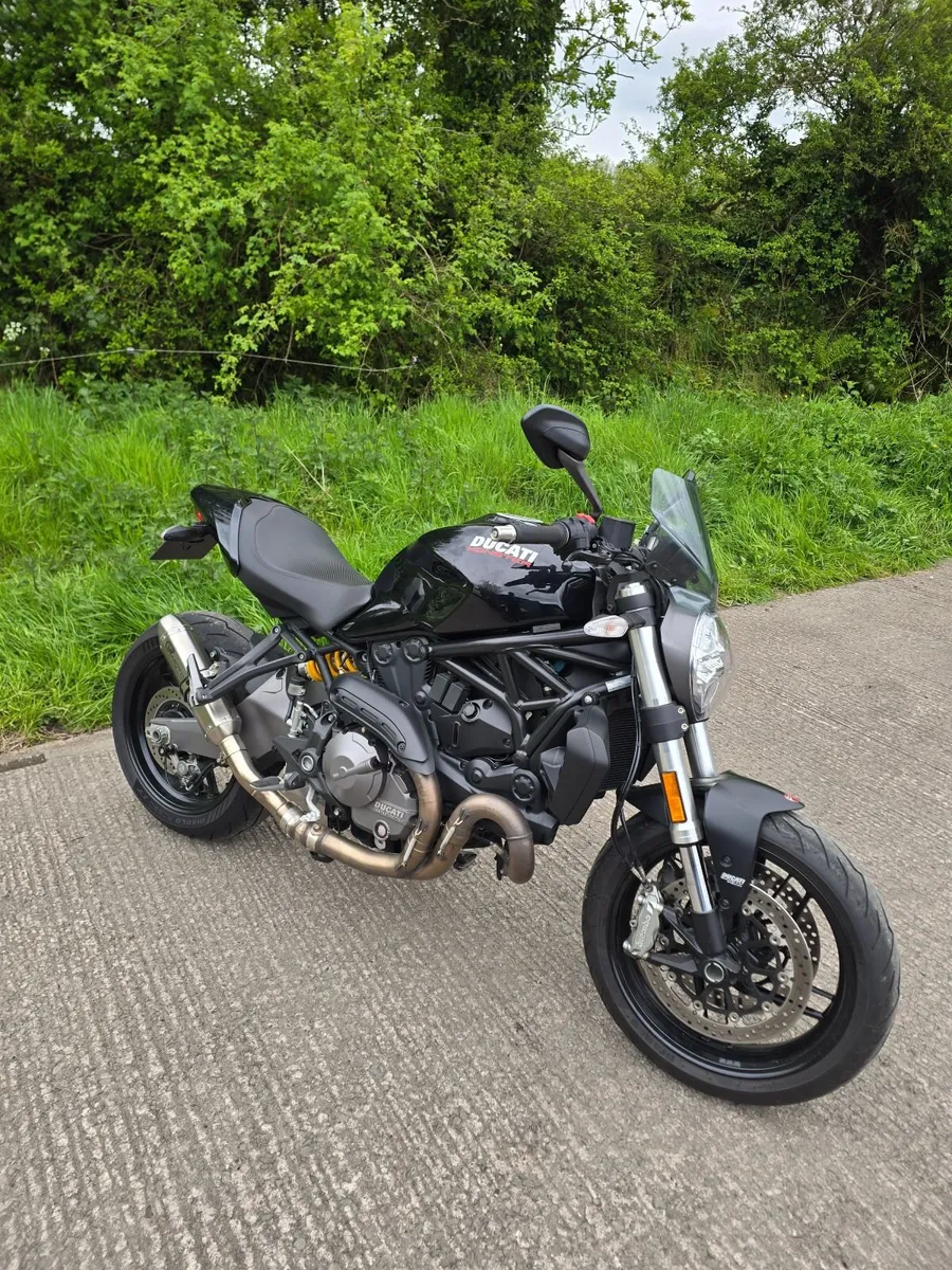 2019 Ducati Monster M821 - Image 3