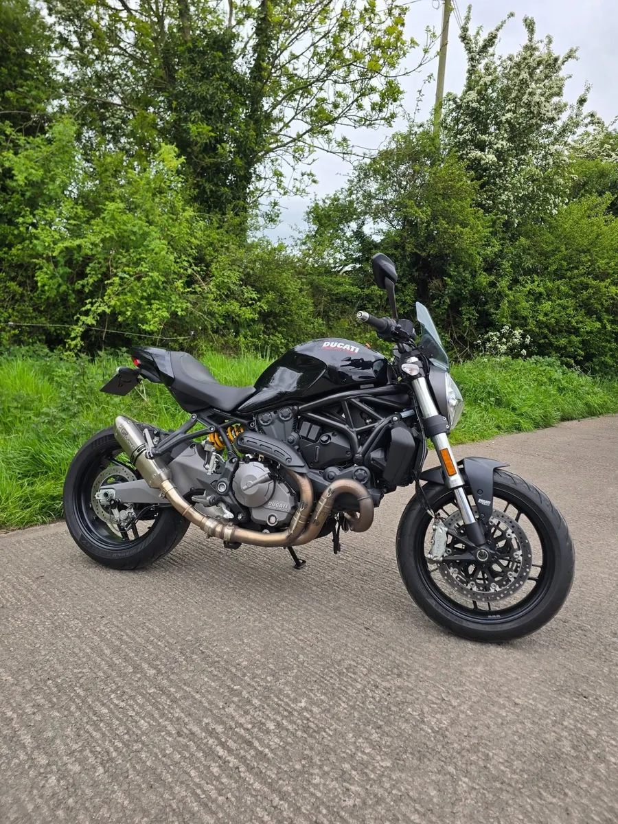 2019 Ducati Monster M821 - Image 1
