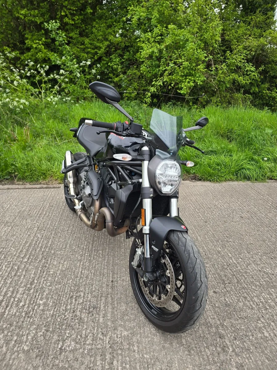 2019 Ducati Monster M821 - Image 4
