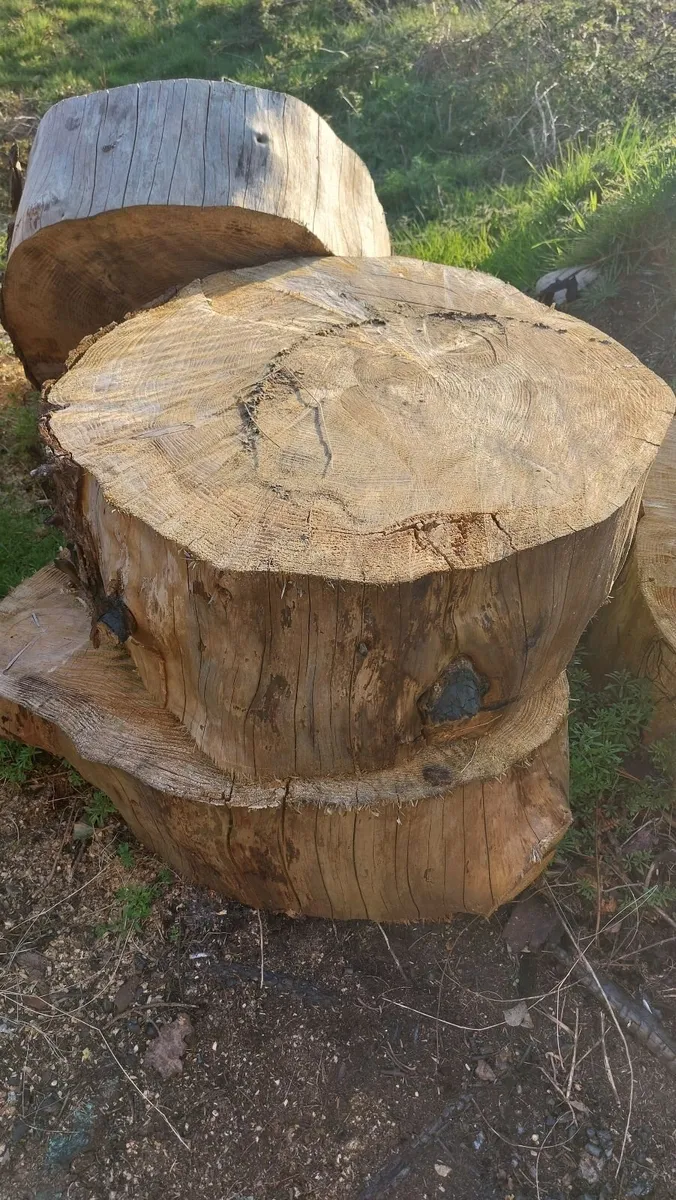 Ringed Firewood (Uncut) - Image 3