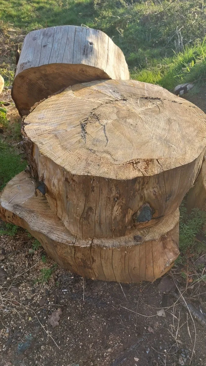 Ringed Firewood (Uncut) - Image 1