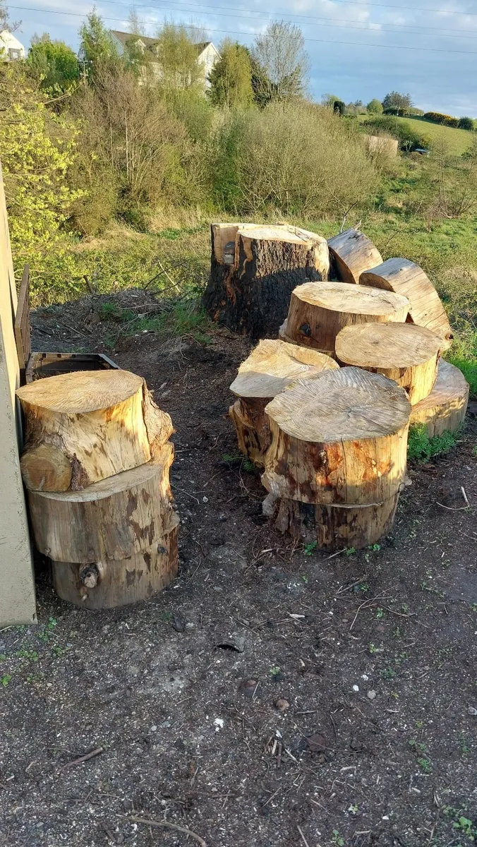 Ringed Firewood (Uncut) - Image 4