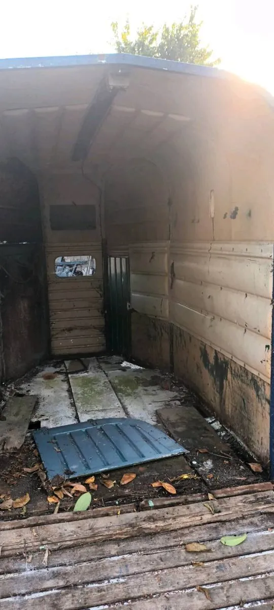 Horse boxs for sale - Image 3