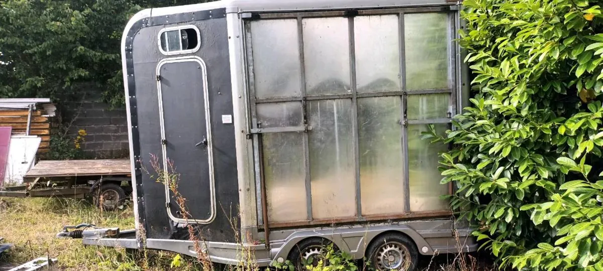 Horse box - Image 4