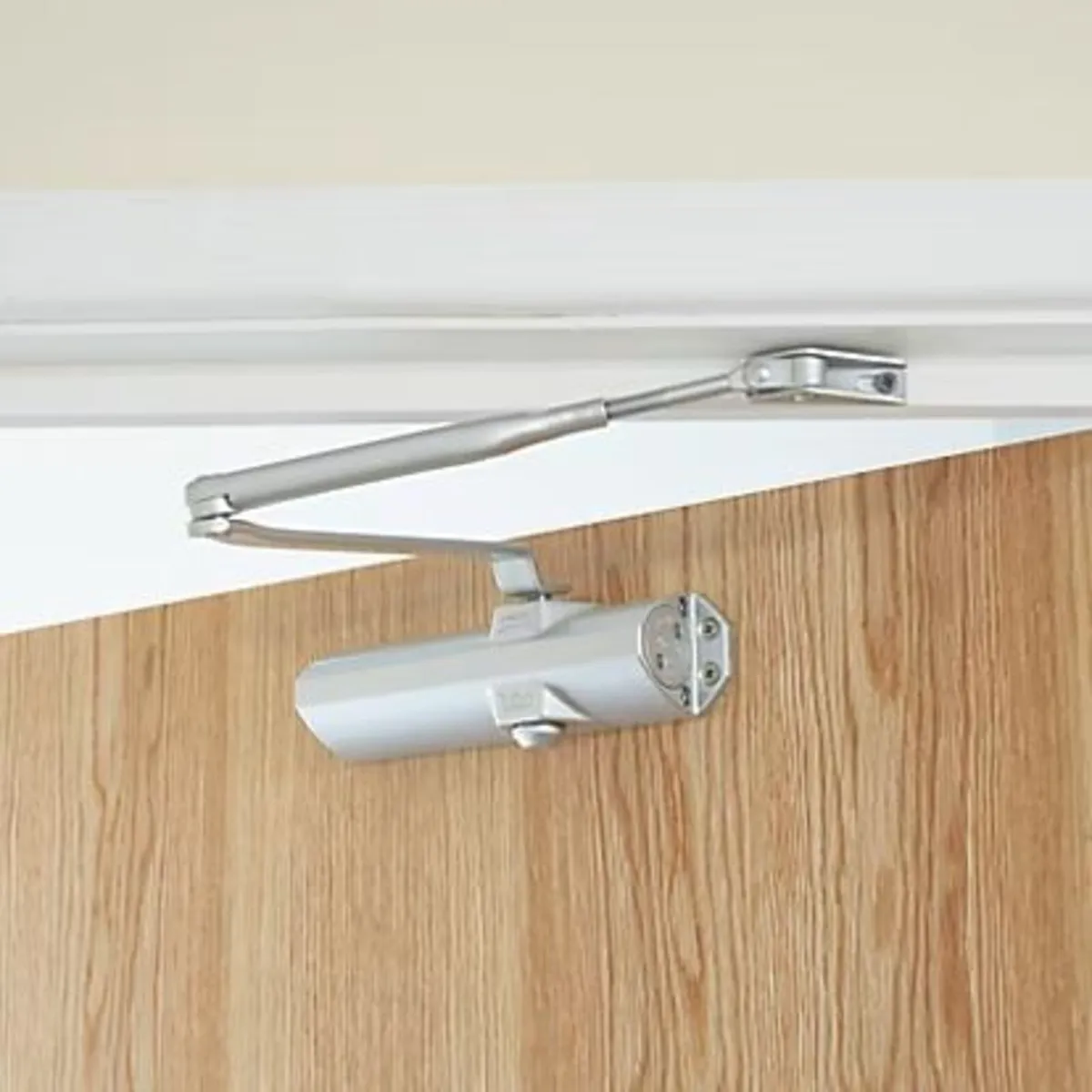 Overhead Door Closer (Dorma TS 68) - Image 2