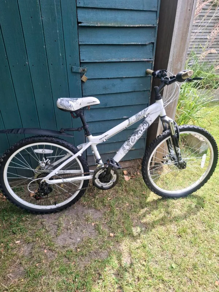 Kids Mountain Bike - Image 1