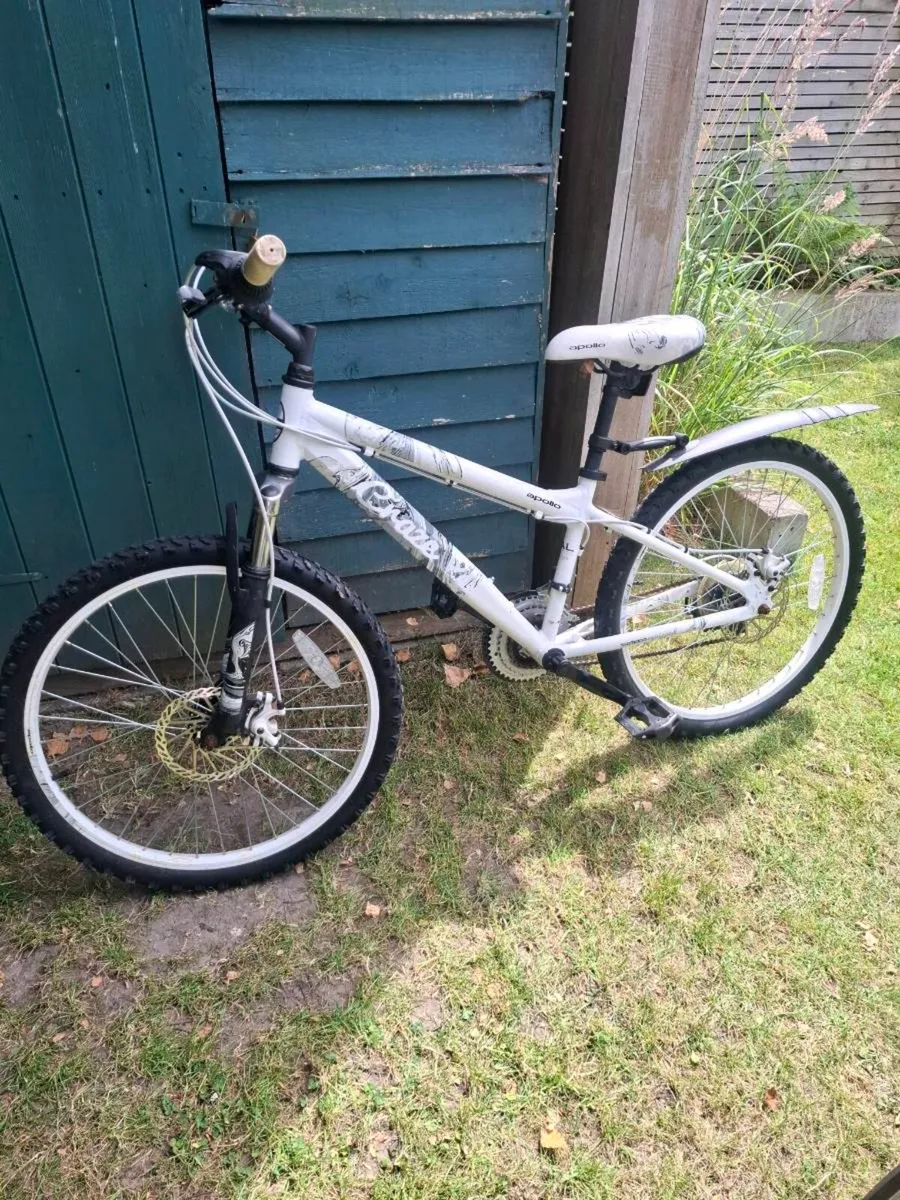 Kids Mountain Bike - Image 2