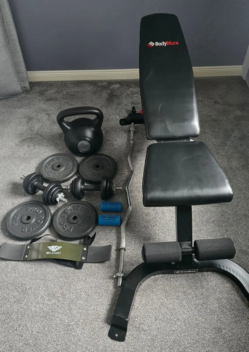 Weight bench, weights, dumbbells and ez curl bar