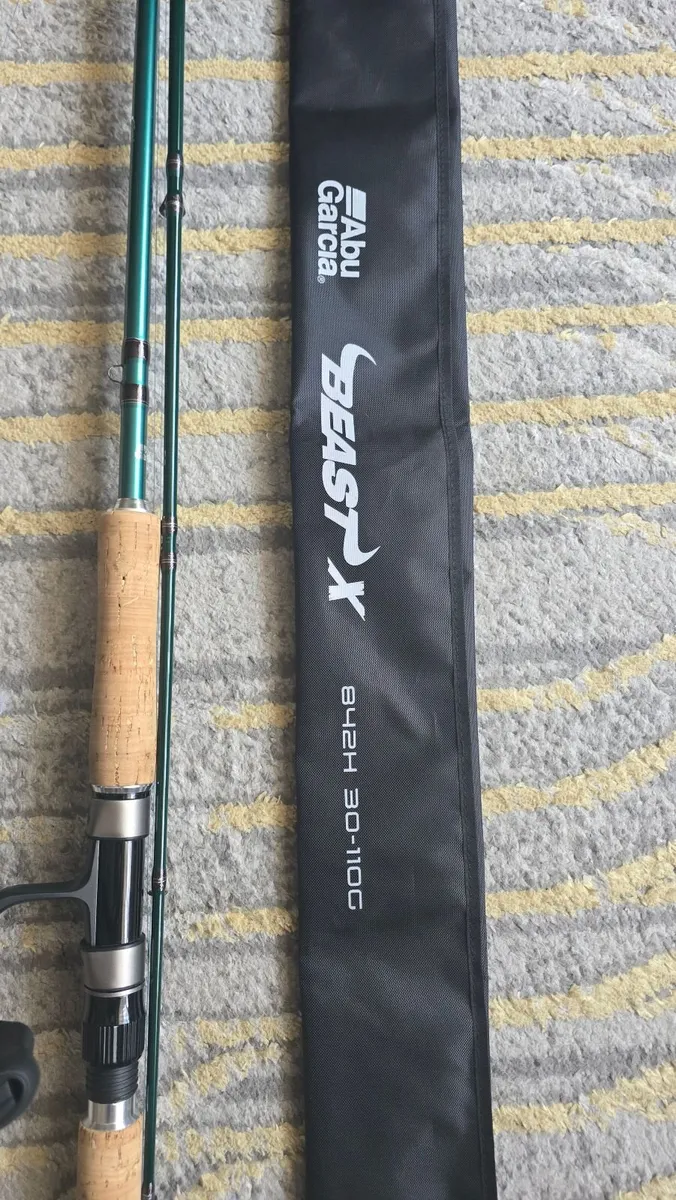 BRAND NEW - ABU GARCIA BEAST PIKE ROD (& REEL) - Image 1