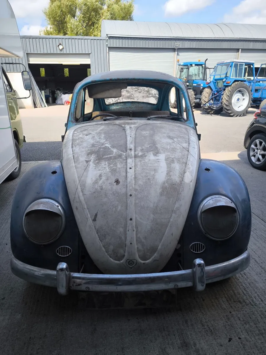 Volkswagen beetle shell for sale - Image 1