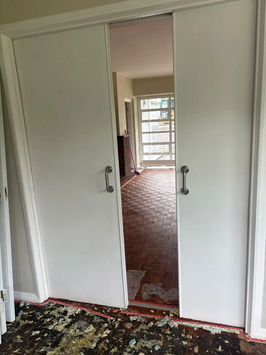 Pocket doors - Image 1