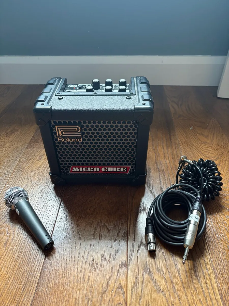 Roland Amp - Image 1