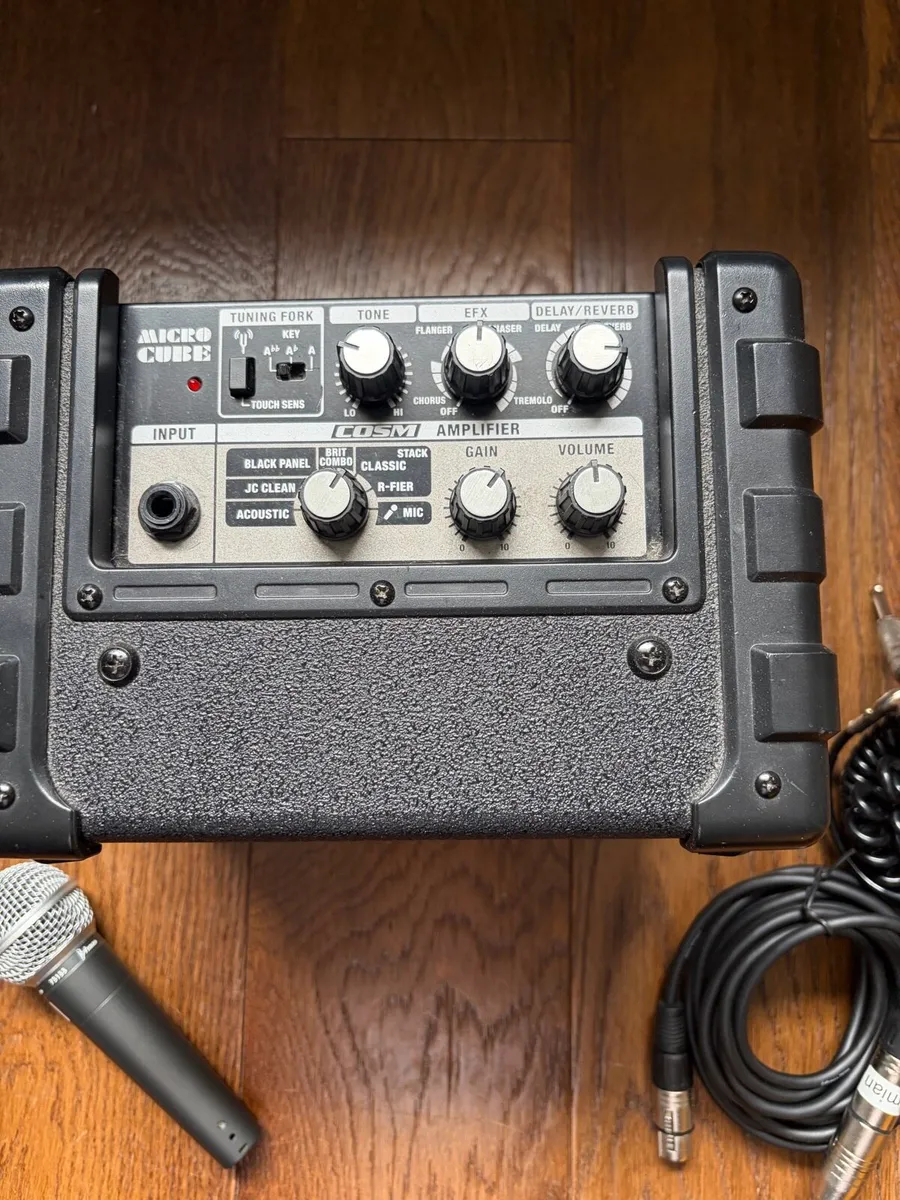 Roland Amp - Image 3