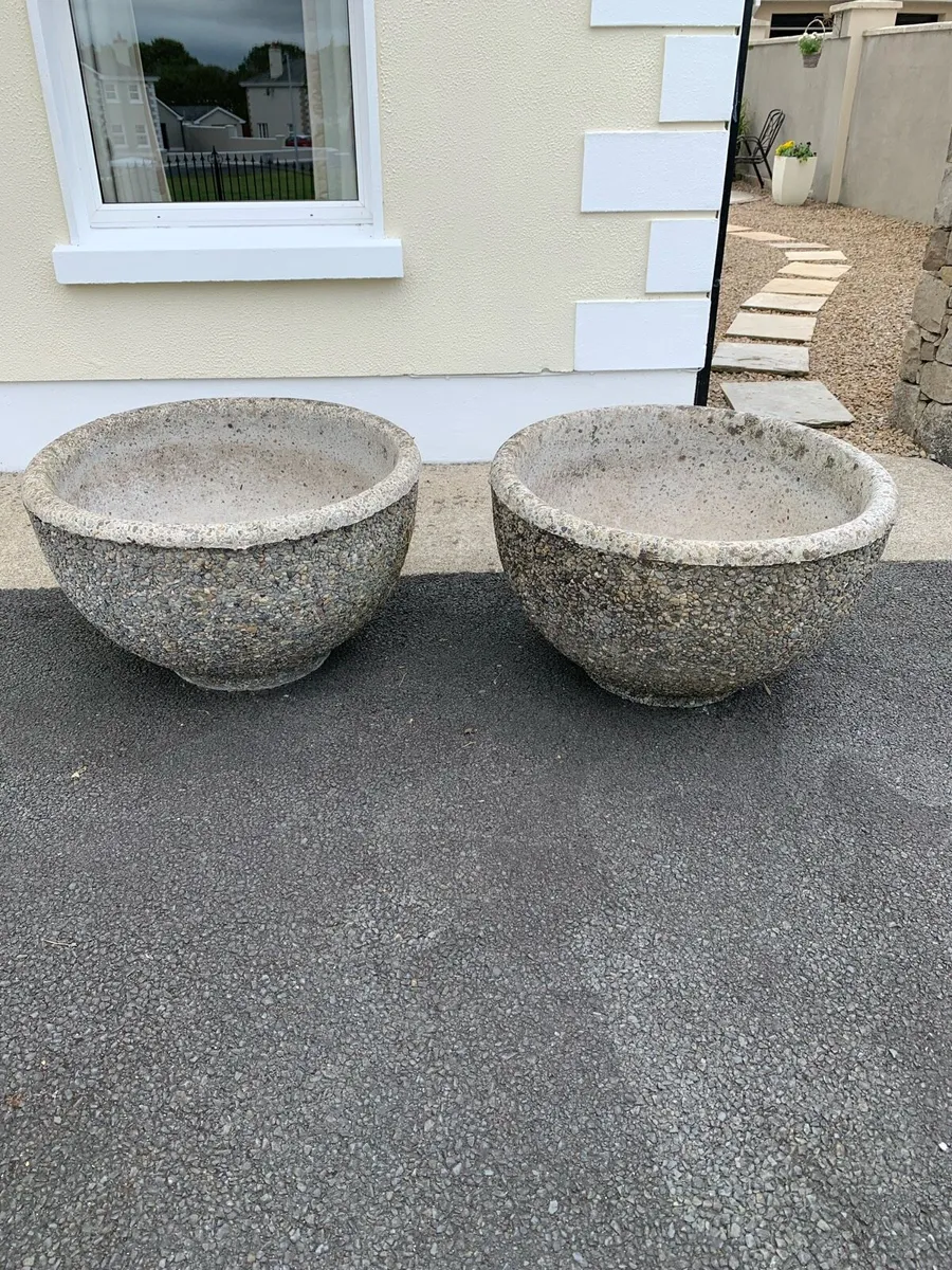 Concrete planters - Image 1