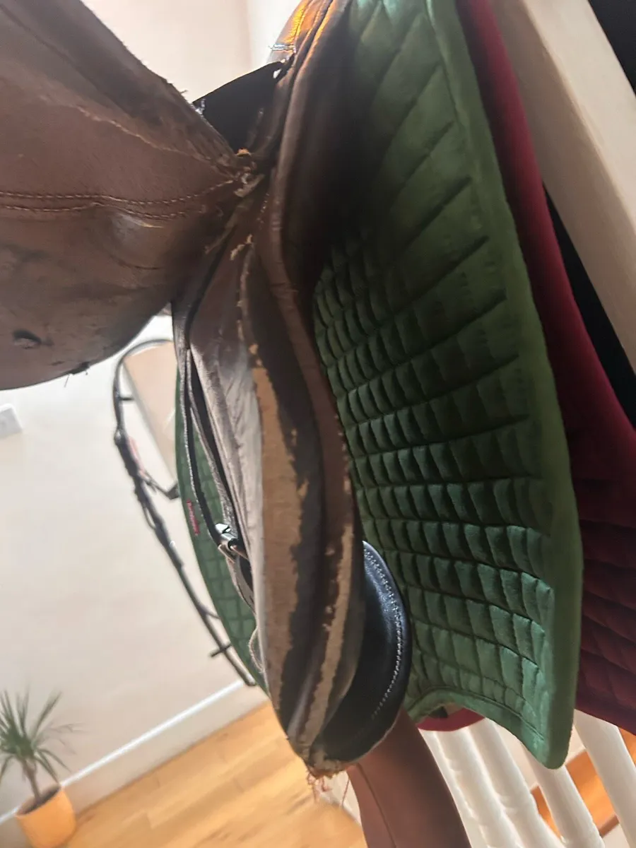 17.5 saddle - Image 3