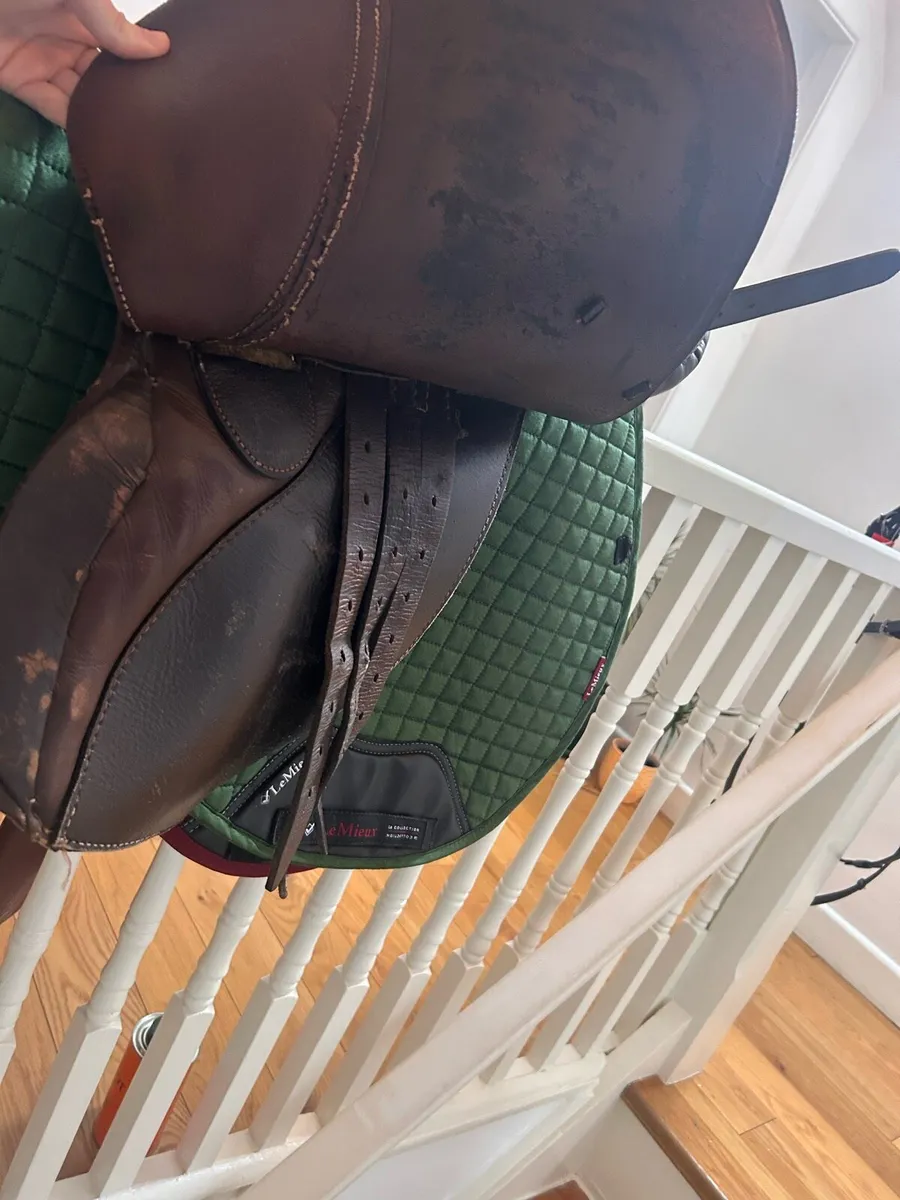 17.5 saddle - Image 4