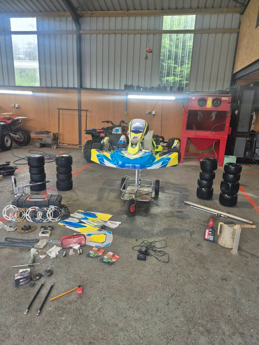 Rotax Max EVO - Image 1