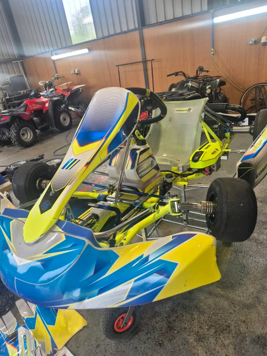 Rotax Max EVO - Image 2