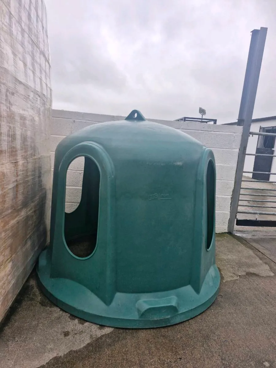JFC horse Haybell - Image 2
