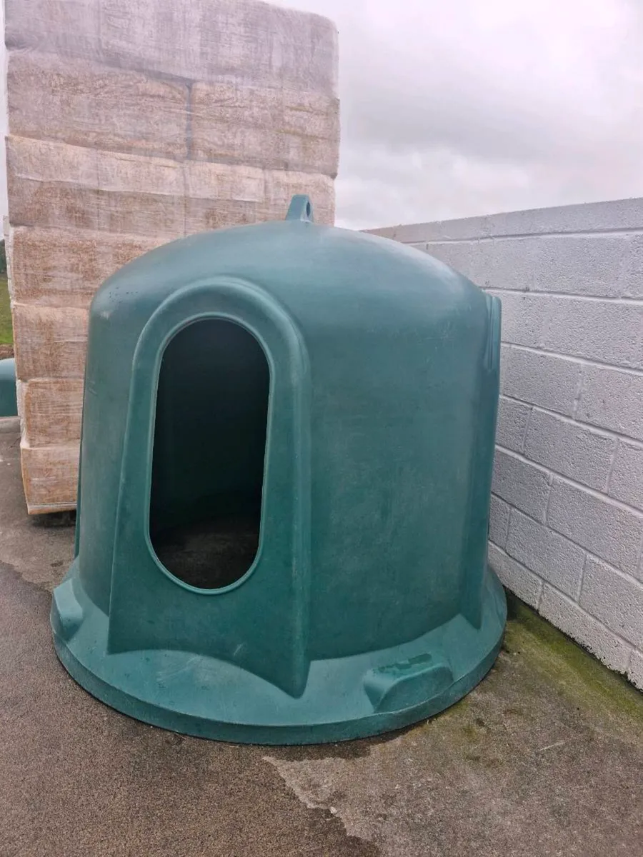 JFC horse Haybell - Image 3