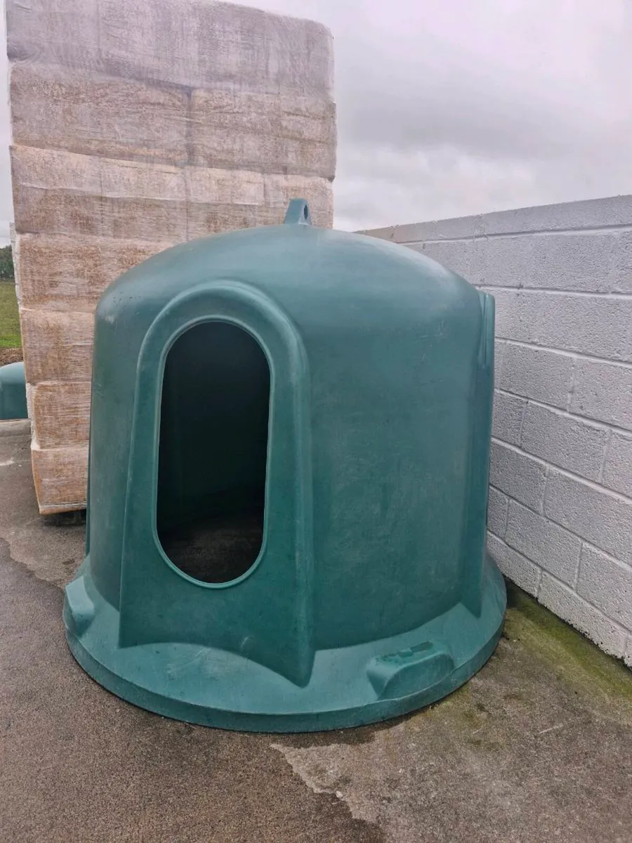 JFC horse Haybell - Image 1